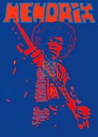 40-SPT8428 Hendrix, 50x70